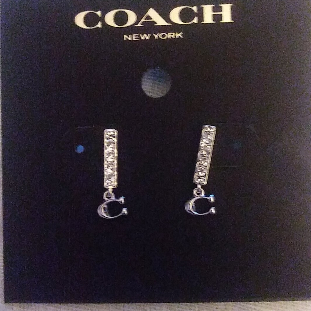 Georgeous Coach Earrings Silver